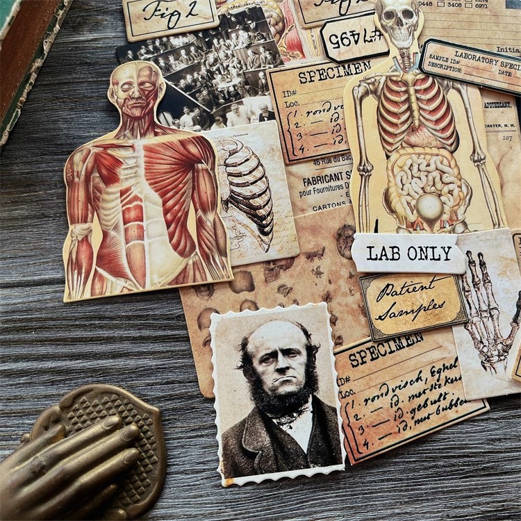 DIY Scrapbooking Vintage Bebek - Photography Journal incelemesi ve fiyatı